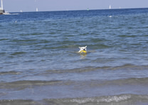 Keona ganz sch&ouml;n weit drau&szlig;en